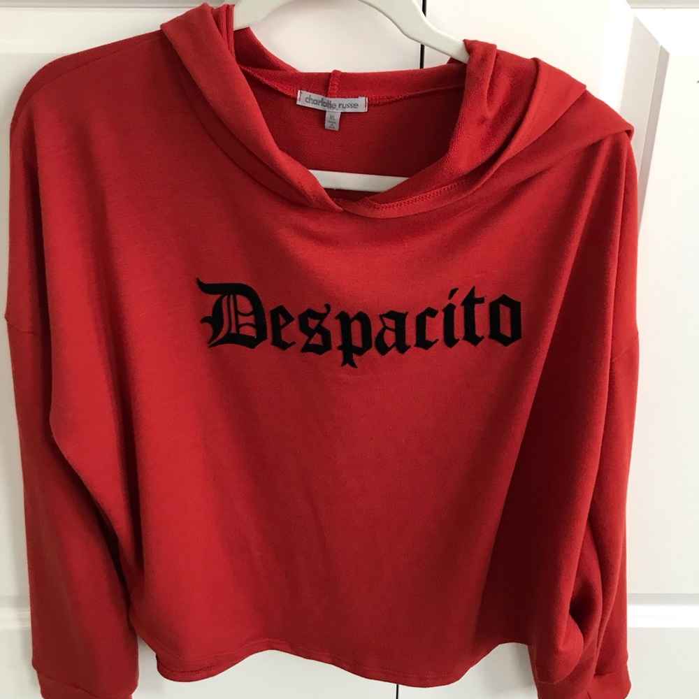 burnt orange colored cropped hoodie